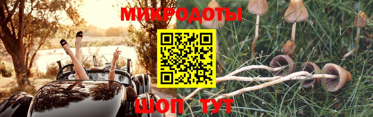 Псилоцибиновые грибы мицелий Шарыпово